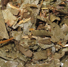 EPIMEDIUM HERB C/S (HORNEY GOAT WEED)